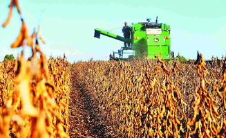 國(guó)家大豆產(chǎn)業(yè)技術(shù)體系首席科學(xué)家韓天富 大豆種業(yè)挑戰(zhàn)與機(jī)遇并存