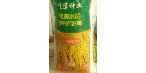廠家批發(fā)水稻種子 水稻種子 農(nóng)作物高產(chǎn)抗病強(qiáng)種子