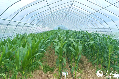 &ldquo;靠&rdquo;好山、&ldquo;吃&rdquo;好海 福建省政協農業農村委開展漁港、種業發展調研