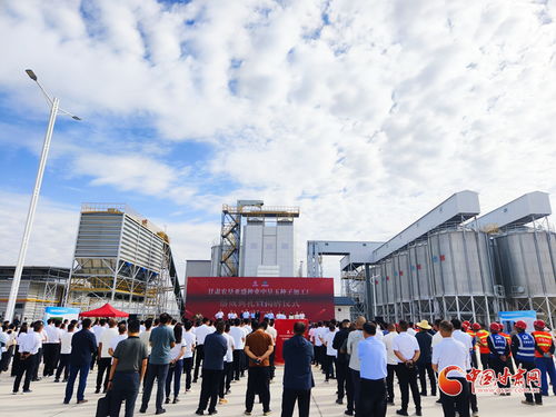 甘肅農墾亞盛種業中墾玉種子加工廠在張掖落成，助力種業現代化發展