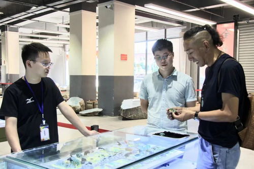 天然翡翠交流中心 聚寶谷翡翠公盤與文化藝術的完美融合